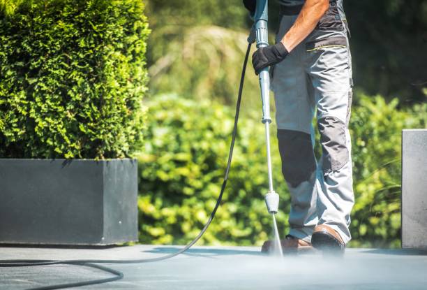 Animal Enclosure Cleaning in Milliken, CO